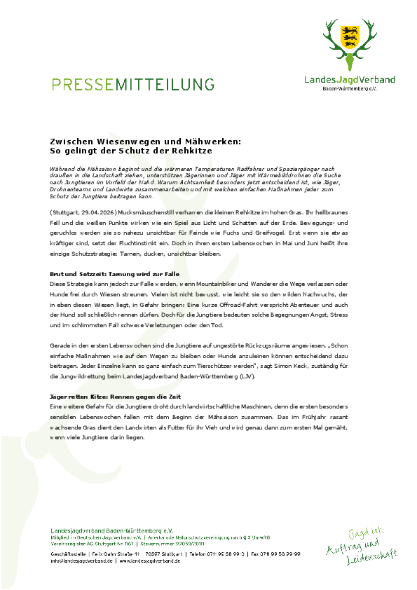 pdf-preview